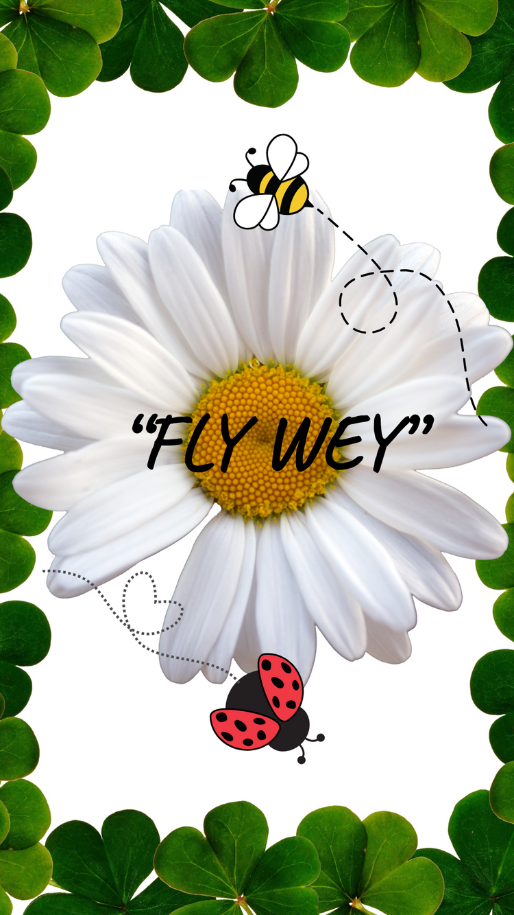 Collezione "FLY AWAY"